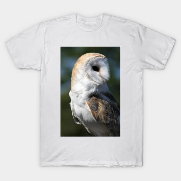 Barn Owl T-Shirt by Rob Johnson Photography